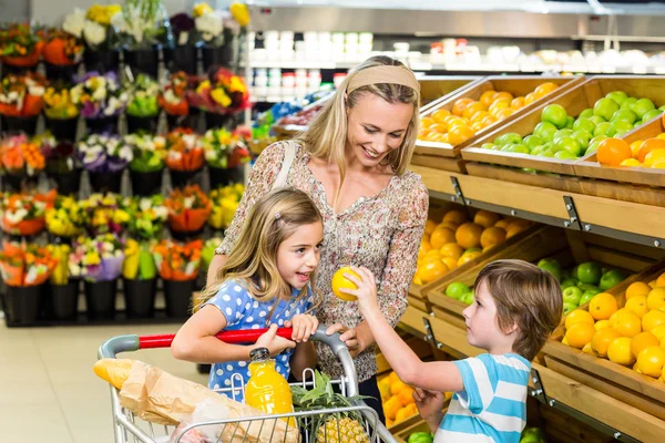 Giovane madre con i suoi due figli — Foto Stock