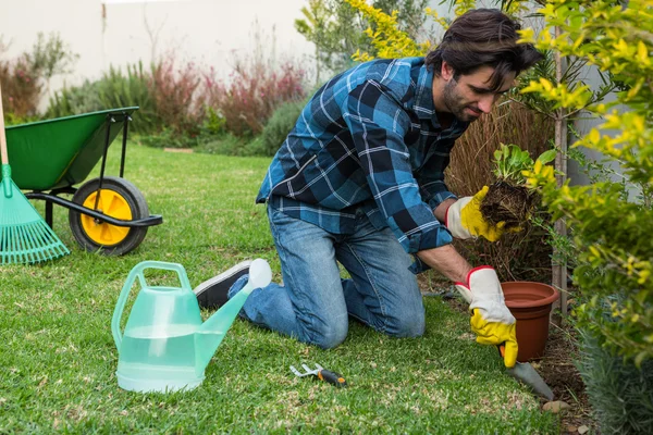 Schöner Mann bei der Gartenarbeit — Stockfoto