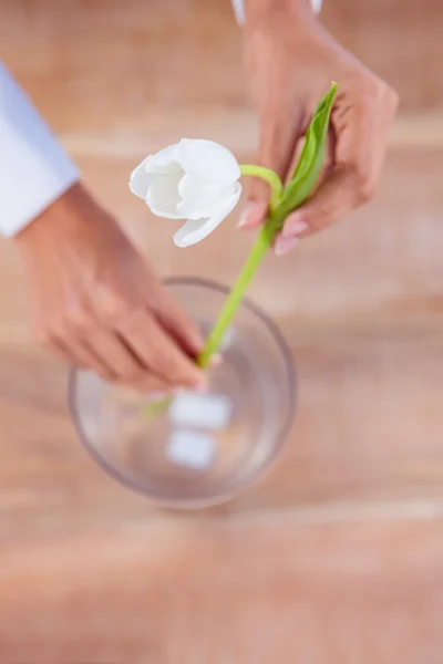 Mujer poniendo una flor en un jarrón — Foto de Stock