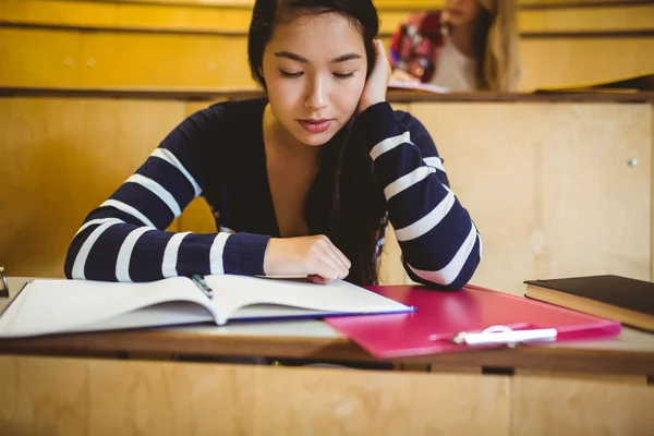 重点突出的学生在笔记本上阅读 — 图库照片