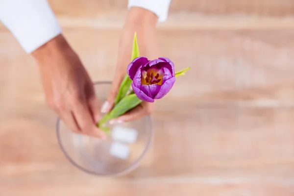 Mujer poniendo una flor en un jarrón — Foto de Stock