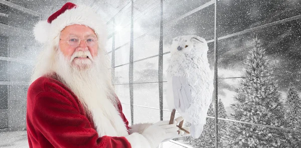 Father Christmas holds an owl — Stock Photo, Image