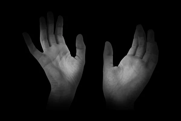 Kadın elleriyle sunulması — Stok fotoğraf