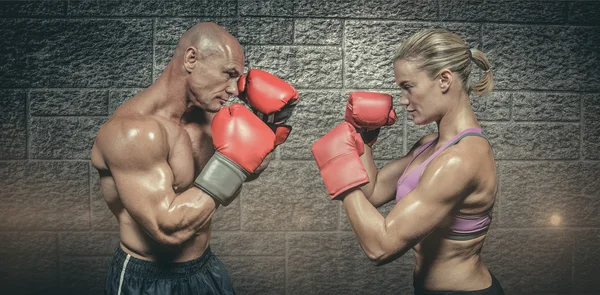 Zijaanzicht van boxers met vechten houding — Stockfoto