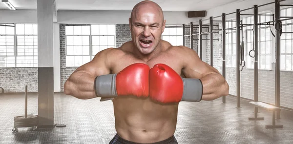 Angry bald boxer with punching gloves — Stock Photo, Image