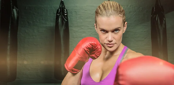 Portret van vrouwelijke boxer met vechten houding — Stockfoto