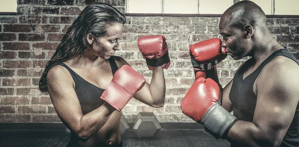 Atletas con postura de lucha — Foto de Stock