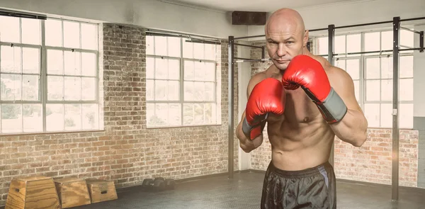 Portret van boxer met handschoenen — Stockfoto