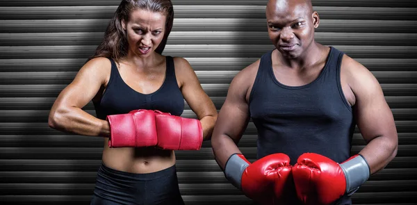 Boxers masculinos e femininos com luvas — Fotografia de Stock