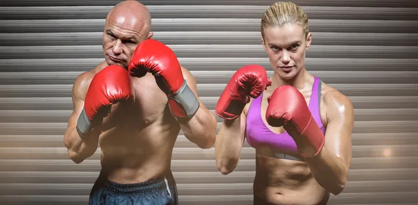 Retrato de boxeadores con guantes — Foto de Stock