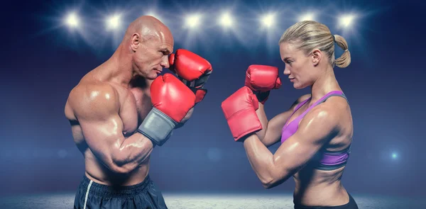 Seitenansicht von Boxern mit kämpferischer Haltung — Stockfoto