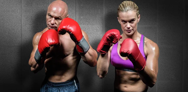 Retrato de boxeadores con guantes — Foto de Stock