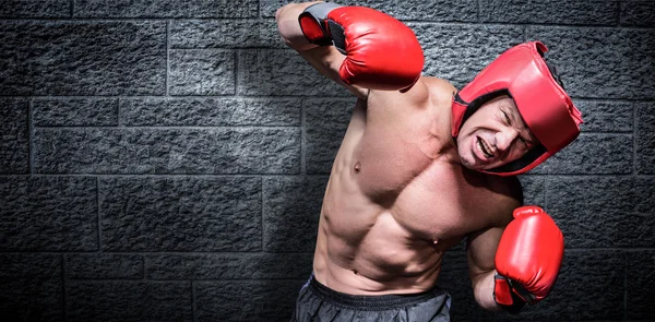 Boxer agressivo contra fundo preto — Fotografia de Stock