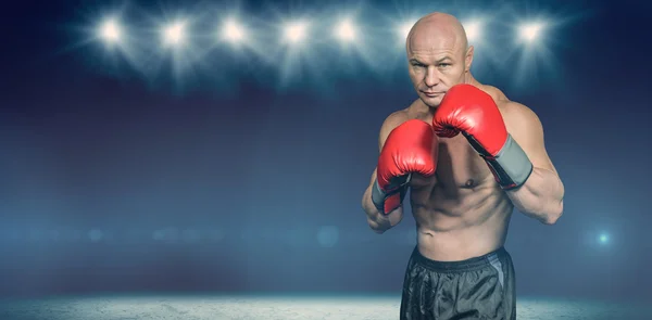 Retrato de boxeador com luvas — Fotografia de Stock