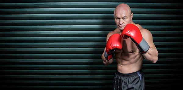 Portrait of boxer with gloves — Stock Photo, Image