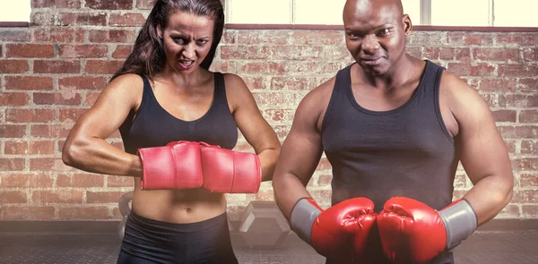 Retrato de boxeadores masculinos y femeninos con guantes — Foto de Stock