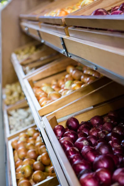 Cebollas moradas y blancas — Foto de Stock