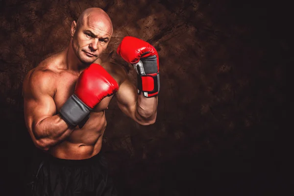 Retrato de boxeador com luvas vermelhas — Fotografia de Stock