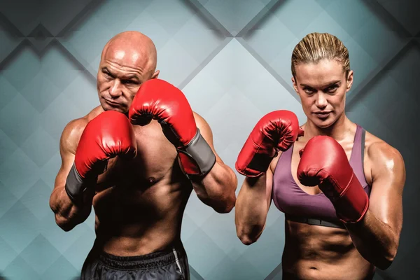 Retrato de boxers com luvas — Fotografia de Stock