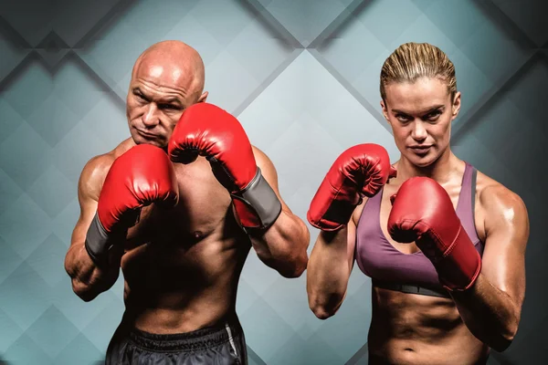 Portrait of boxers with gloves — Stock Photo, Image