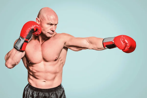 Bald boxer in fighting stance — Stock Photo, Image