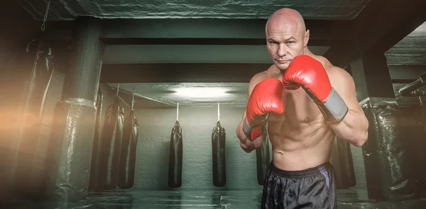 Porträt eines Boxers mit Handschuhen — Stockfoto
