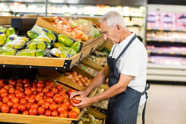 Ernstige senior werknemer nemen tomaat — Stockfoto