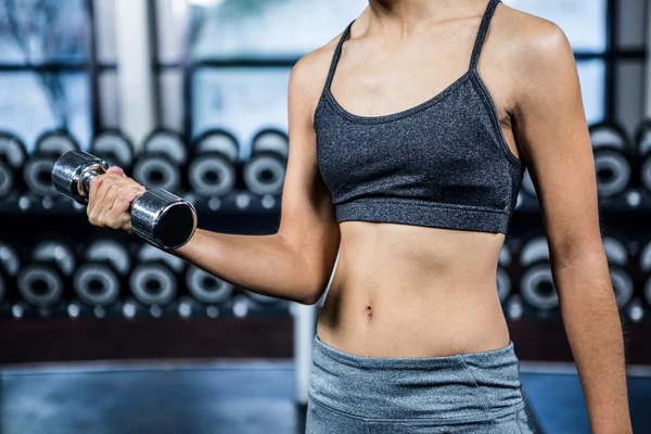 Ajuste mujer levantamiento mancuerna — Foto de Stock