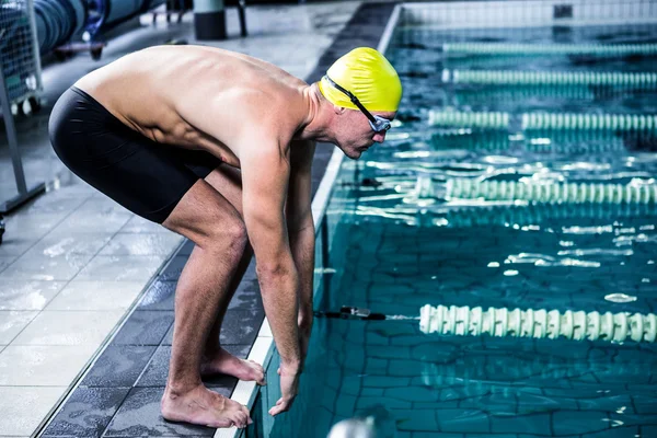 Swimmer about to dive into swimming pool — Stock Photo, Image