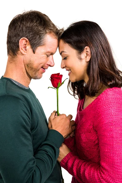 Couple heureux tenant rose rouge — Photo