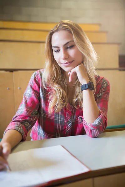 Studentessa sorridente durante la lezione — Foto Stock