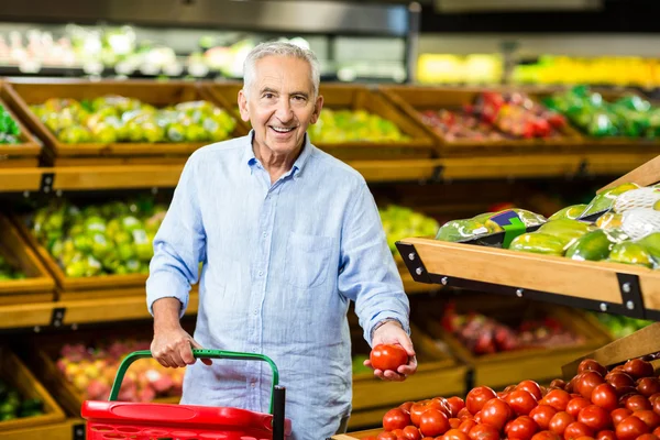Starší muž vybírá z rajčat — Stock fotografie