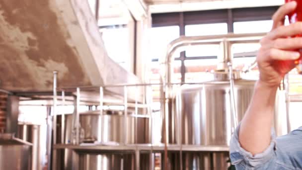 Ürün kontrol bira fabrikası işçisi — Stok video