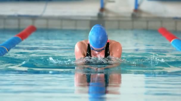 Подходящая женщина, плавающая в бассейне — стоковое видео