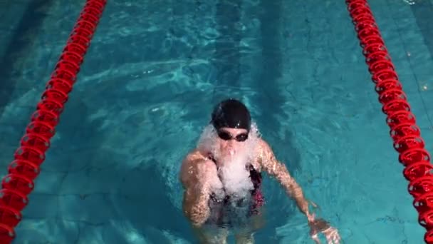 Fit femme levant les bras dans la piscine — Video