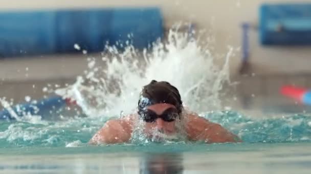 Fit hombre nadando en la piscina — Vídeo de stock