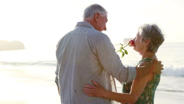 Jubilados pareja de ancianos abrazándose mientras sostiene la flor — Vídeo de stock