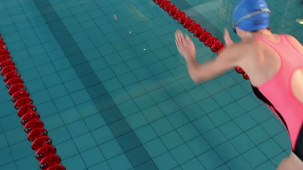 Fit femme nageur plongeant dans la piscine — Video