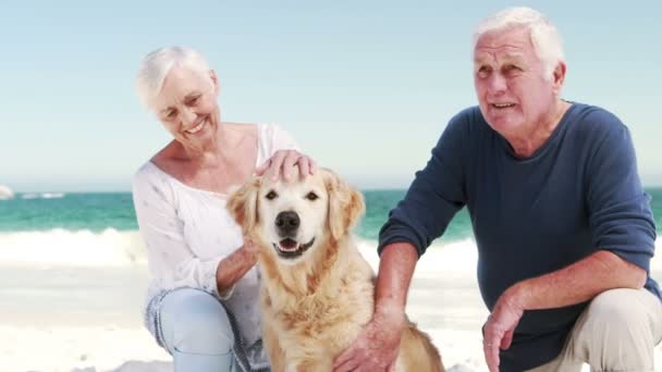 Old retired couple with dog — Stockvideo