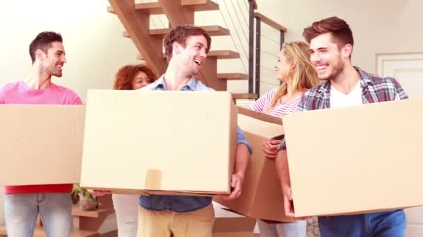 Smiling friends moving boxes together — Stock Video