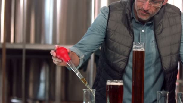 Trabajador cervecero enfocado usando pipeta — Vídeo de stock