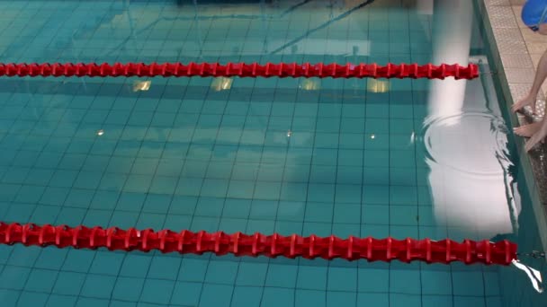 Fit femme nageur plongeant dans la piscine — Video