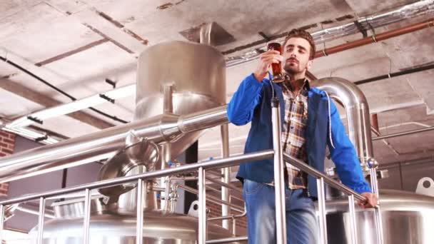 Bryggeri arbetare kontroll produkten — Stockvideo