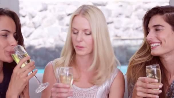 Lächelnde Frauen trinken Champagnerglas — Stockvideo