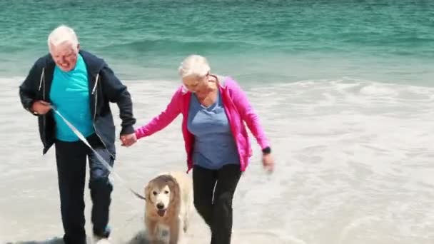 Old retired couple with dog — Stockvideo