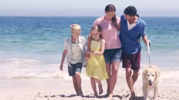 Linda familia paseando al perro — Vídeos de Stock