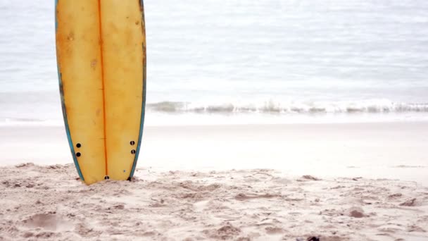Kum üzerinde sörf tahtaları — Stok video