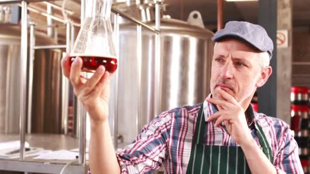 ビール醸造所の労働者製品をチェック — ストック動画