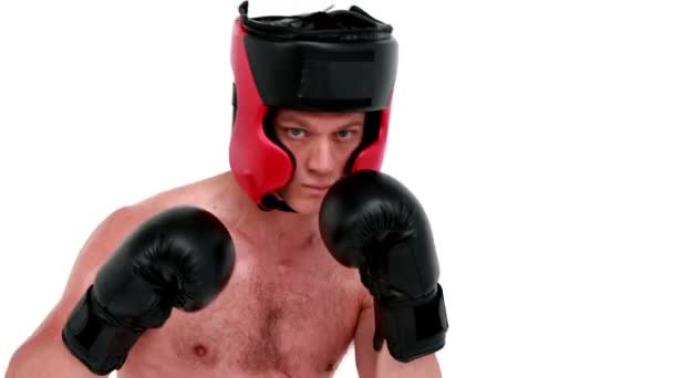 Lo sportivo sta facendo boxe — Video Stock