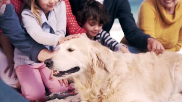 Drie generaties familie met hond — Stockvideo